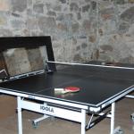 Table Tennis