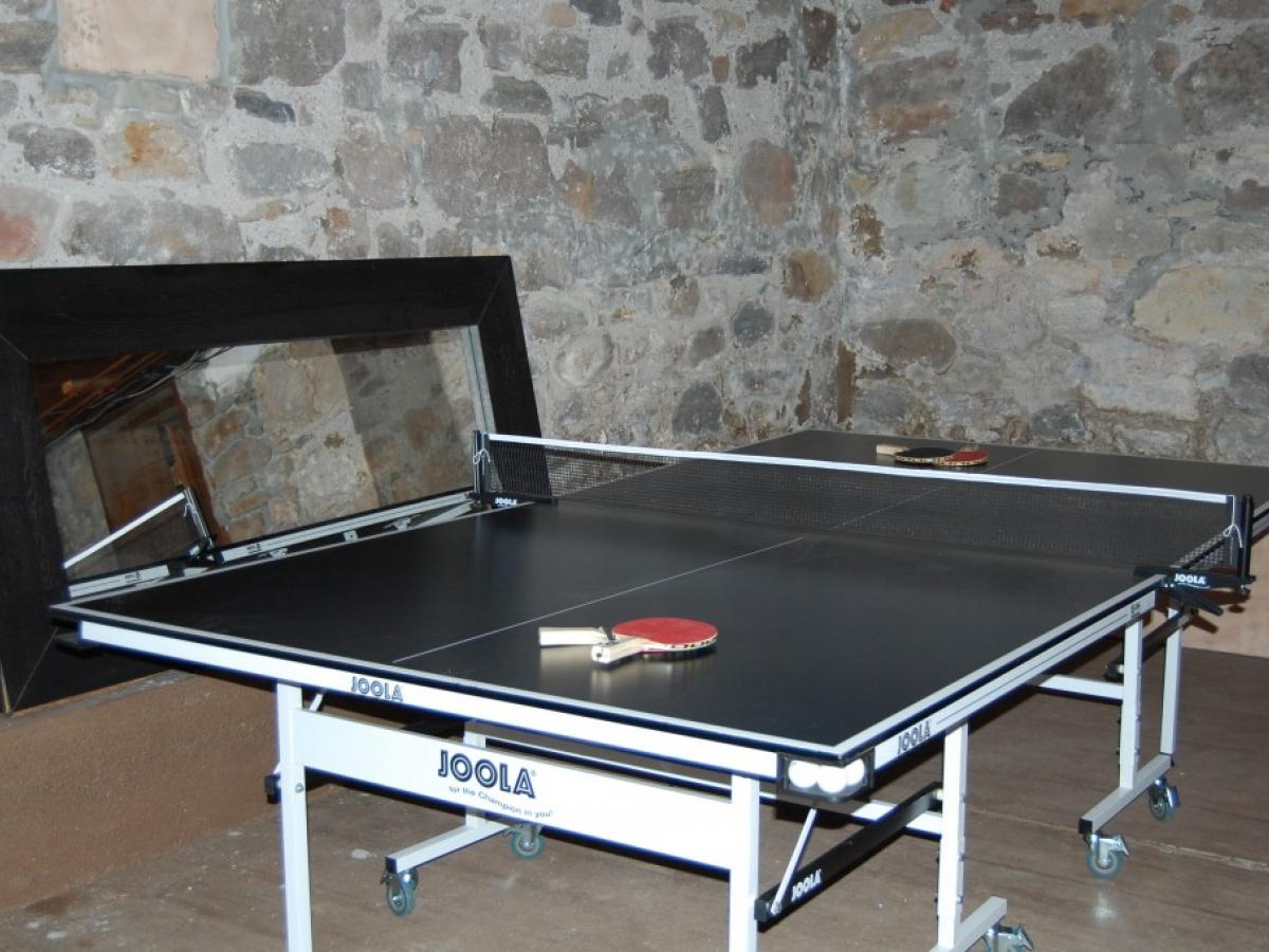 Table Tennis